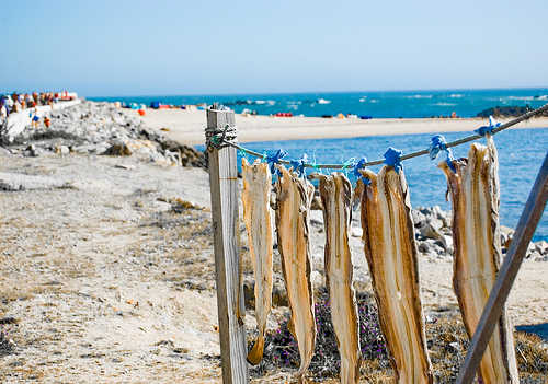 Bacalhau