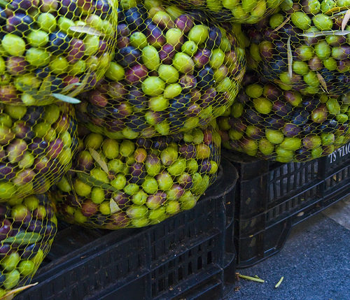 olive2